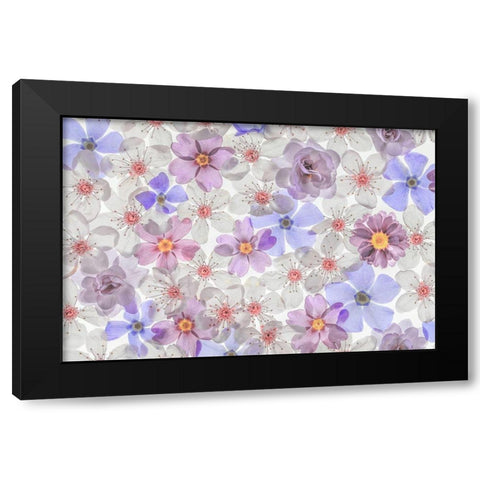 Washington State-Seabeck Montage of spring flowers Black Modern Wood Framed Art Print with Double Matting by Jaynes Gallery