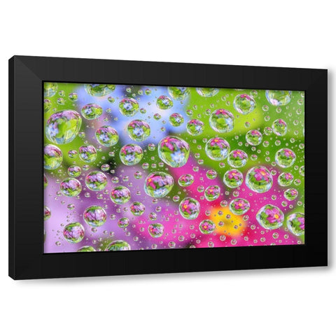 Washington State-Seabeck Flowers reflected in water drops Black Modern Wood Framed Art Print by Jaynes Gallery
