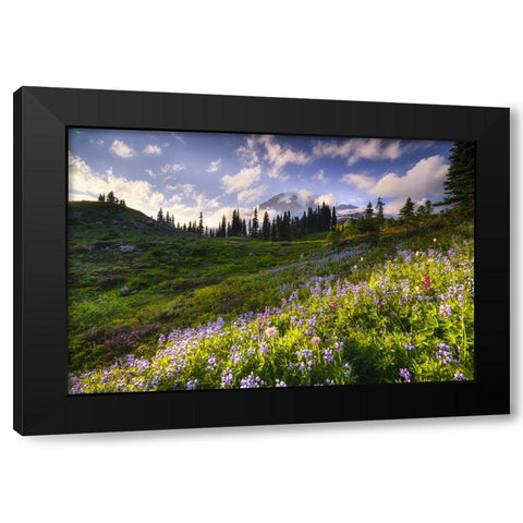 USA-Washington-Mt-Rainier National Park-Mountain meadow with wildflowers Black Modern Wood Framed Art Print by Jaynes Gallery