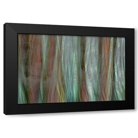 USA-Washington State-Seabeck Forest fantasy composite in Guillemot Cove Nature Preserve Black Modern Wood Framed Art Print with Double Matting by Jaynes Gallery