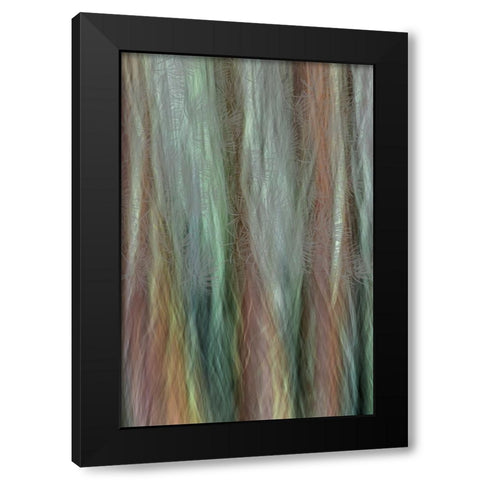 USA-Washington State-Seabeck Forest fantasy composite in Guillemot Cove Nature Preserve Black Modern Wood Framed Art Print with Double Matting by Jaynes Gallery