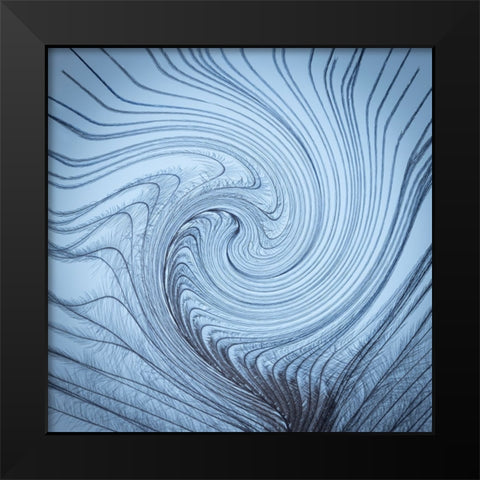 USA-Washington State-Seabeck Downy feather with a twist Black Modern Wood Framed Art Print by Jaynes Gallery