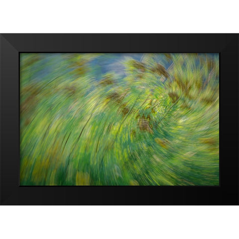 USA-Washington State-Seabeck Abstract of tansy plant Black Modern Wood Framed Art Print by Jaynes Gallery