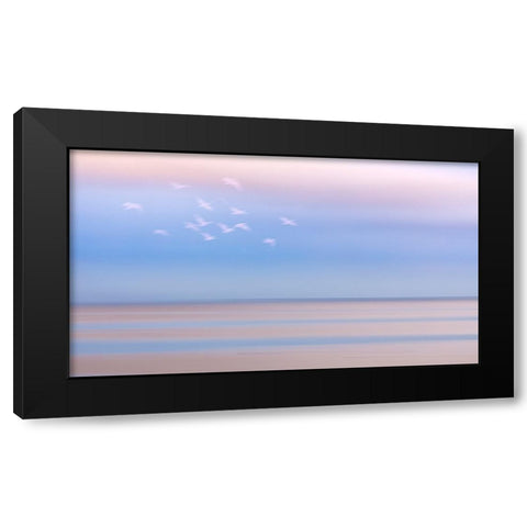 USA-Washington State-Seabeck Pastel sunrise panoramic over Hood Canal Black Modern Wood Framed Art Print by Jaynes Gallery