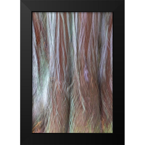 USA-Washington State-Seabeck Forest fantasy composite in Guillemot Cove Nature Preserve Black Modern Wood Framed Art Print by Jaynes Gallery