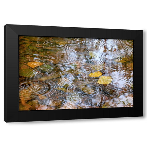 USA- Washington State- Seabeck. Autumn raindrops on water. Black Modern Wood Framed Art Print with Double Matting by Jaynes Gallery