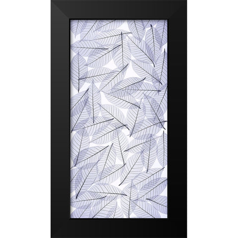 USA- Washington State- Seabeck. Black and white pattern of skeletonized leaves. Black Modern Wood Framed Art Print by Jaynes Gallery