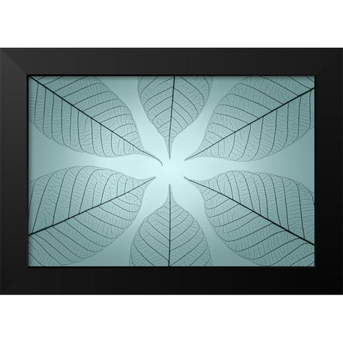 USA- Washington State- Seabeck. Pattern of skeletonized leaves. Black Modern Wood Framed Art Print by Jaynes Gallery