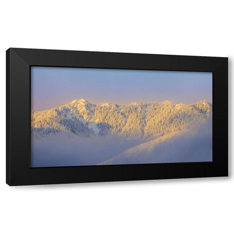 USA- Washington State. Sunrise on snow-covered mountains in Olympic National Forest. Black Modern Wood Framed Art Print with Double Matting by Jaynes Gallery