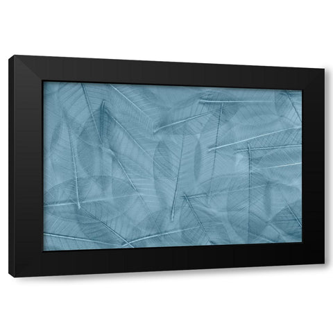 USA- Washington State- Seabeck. Pattern of skeletonized leaves. Black Modern Wood Framed Art Print with Double Matting by Jaynes Gallery