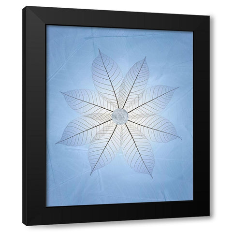 USA- Washington State- Seabeck. Skeletonized leaf pattern. Black Modern Wood Framed Art Print by Jaynes Gallery