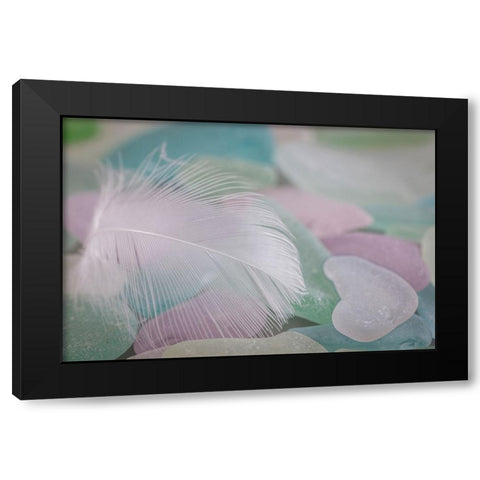 USA- Washington State- Seabeck. Feather and beach glass close-up. Black Modern Wood Framed Art Print by Jaynes Gallery