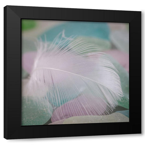 USA- Washington State- Seabeck. Feather and beach glass close-up. Black Modern Wood Framed Art Print with Double Matting by Jaynes Gallery