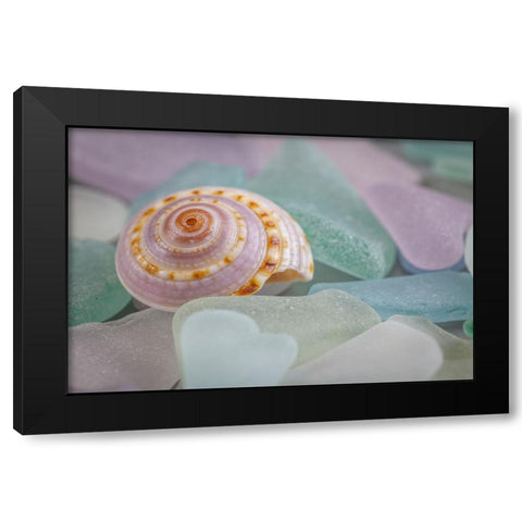 USA- Washington State- Seabeck. Seashell and beach glass. Black Modern Wood Framed Art Print by Jaynes Gallery