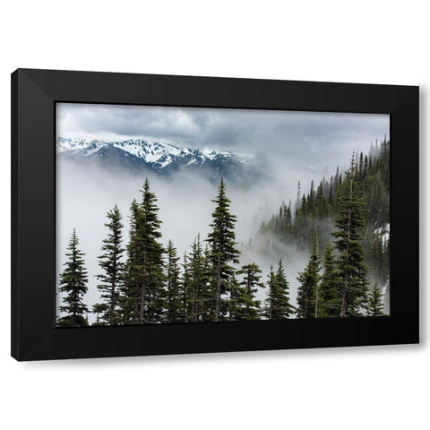 USA-Washington State-Olympic National Park Black Modern Wood Framed Art Print by Sederquist, Betty