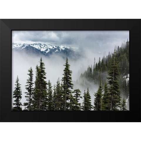USA-Washington State-Olympic National Park Black Modern Wood Framed Art Print by Sederquist, Betty