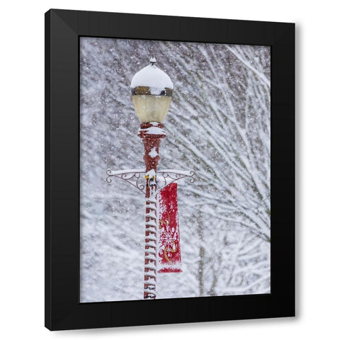 USA- Washington State- Issaquah with fresh fallen snow and red lamppost with Christmas decorations Black Modern Wood Framed Art Print with Double Matting by Gulin, Darrell
