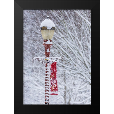 USA- Washington State- Issaquah with fresh fallen snow and red lamppost with Christmas decorations Black Modern Wood Framed Art Print by Gulin, Darrell