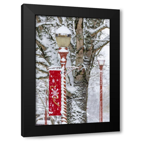 USA- Washington State- Issaquah with fresh fallen snow and red lamppost with Christmas decorations Black Modern Wood Framed Art Print with Double Matting by Gulin, Darrell