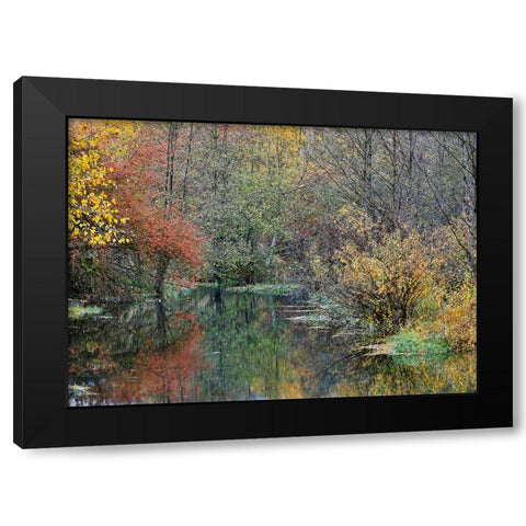 USA- Washington State- Easton and Washington Cascades water way off of Yakima River in Fall Color Black Modern Wood Framed Art Print by Gulin, Darrell