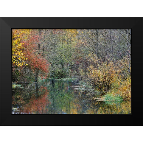 USA- Washington State- Easton and Washington Cascades water way off of Yakima River in Fall Color Black Modern Wood Framed Art Print by Gulin, Darrell