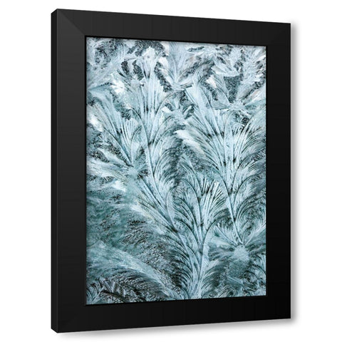 USA- Washington State- Sammamish. Frost on auto window Black Modern Wood Framed Art Print with Double Matting by Gulin, Darrell