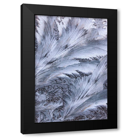 USA- Washington State- Sammamish. Frost on auto window Black Modern Wood Framed Art Print with Double Matting by Gulin, Darrell