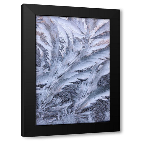 USA- Washington State- Sammamish. Frost on auto window Black Modern Wood Framed Art Print with Double Matting by Gulin, Darrell