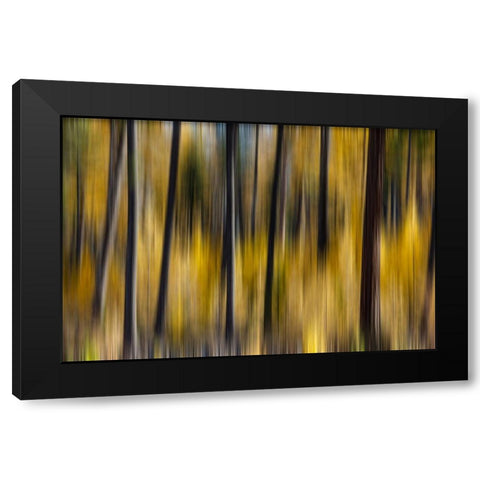 USA- Washington State. East of Twisp on Highway 20 Black Modern Wood Framed Art Print by Gulin, Darrell