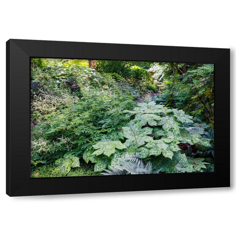 USA- Washington State. Bellevue Botanical garden and shade garden Black Modern Wood Framed Art Print by Gulin, Darrell