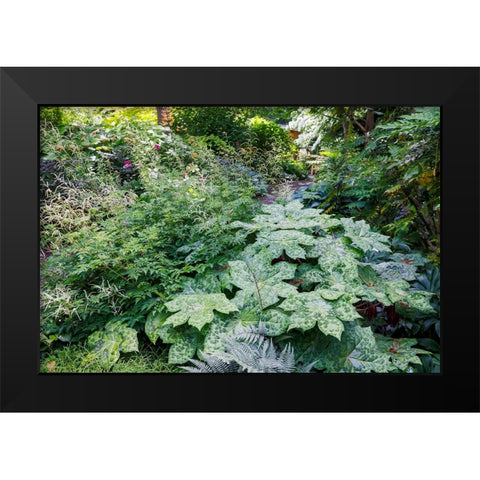 USA- Washington State. Bellevue Botanical garden and shade garden Black Modern Wood Framed Art Print by Gulin, Darrell