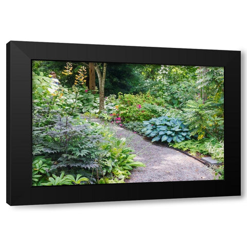 USA- Washington State. Bellevue Botanical garden and shade garden Black Modern Wood Framed Art Print with Double Matting by Gulin, Darrell