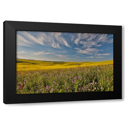 USA- Washington State- Palouse Black Modern Wood Framed Art Print by Gulin, Darrell
