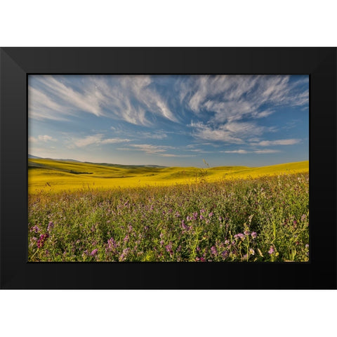 USA- Washington State- Palouse Black Modern Wood Framed Art Print by Gulin, Darrell