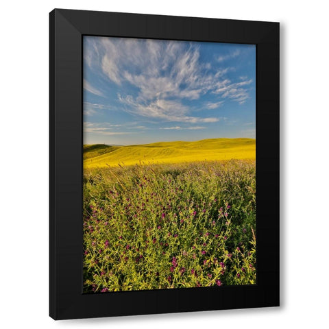 USA- Washington State- Palouse Black Modern Wood Framed Art Print with Double Matting by Gulin, Darrell