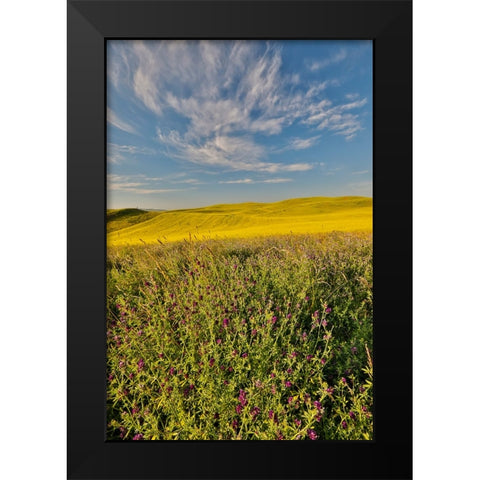 USA- Washington State- Palouse Black Modern Wood Framed Art Print by Gulin, Darrell