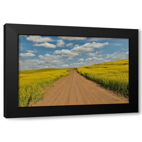 USA- Washington State- Palouse. Springtime landscape dirt roadway and Canola fields Black Modern Wood Framed Art Print by Gulin, Darrell