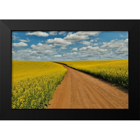 USA- Washington State- Palouse. Springtime landscape dirt roadway and Canola fields Black Modern Wood Framed Art Print by Gulin, Darrell