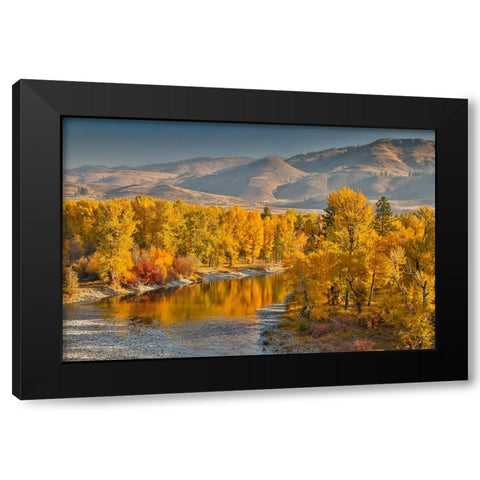 USA- Washington State- Methow Valley and river edged in Fall colored trees. Black Modern Wood Framed Art Print by Gulin, Darrell