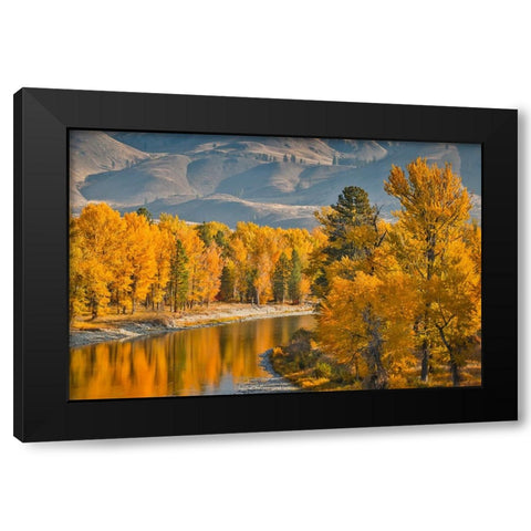USA- Washington State- Methow Valley and river edged in Fall colored trees. Black Modern Wood Framed Art Print with Double Matting by Gulin, Darrell