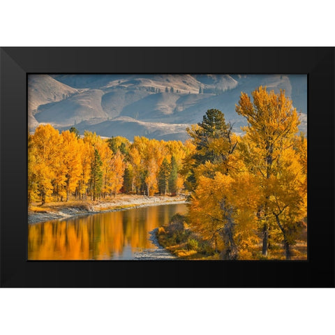 USA- Washington State- Methow Valley and river edged in Fall colored trees. Black Modern Wood Framed Art Print by Gulin, Darrell