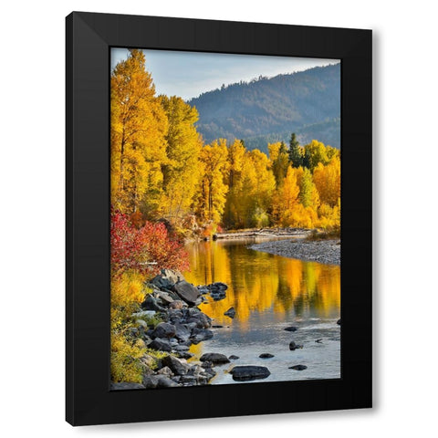 USA- Washington State- Methow Valley and river edged in Fall colored trees. Black Modern Wood Framed Art Print by Gulin, Darrell