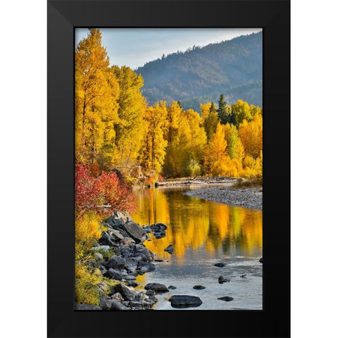 USA- Washington State- Methow Valley and river edged in Fall colored trees. Black Modern Wood Framed Art Print by Gulin, Darrell