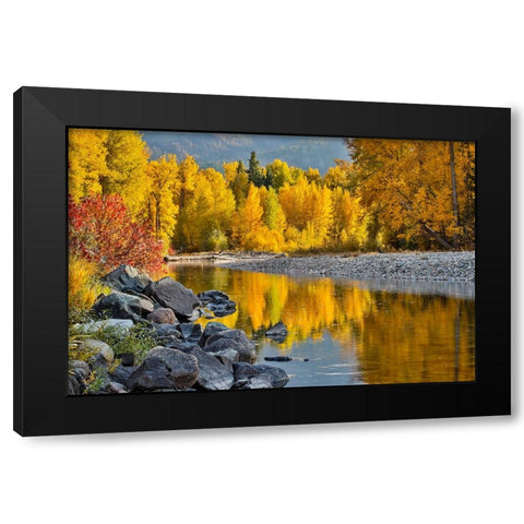 USA- Washington State- Methow Valley and river edged in Fall colored trees. Black Modern Wood Framed Art Print with Double Matting by Gulin, Darrell