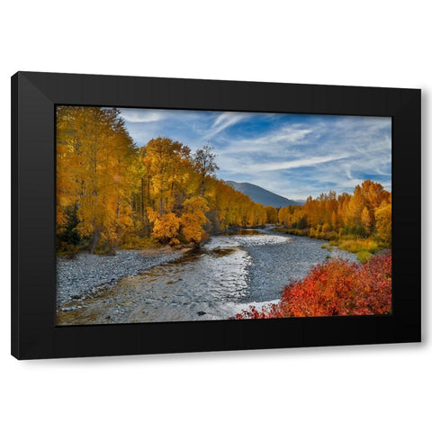 USA- Washington State- Methow Valley and river edged in Fall colored trees. Black Modern Wood Framed Art Print by Gulin, Darrell