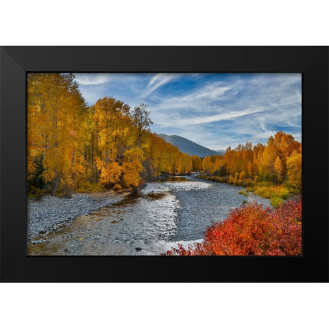 USA- Washington State- Methow Valley and river edged in Fall colored trees. Black Modern Wood Framed Art Print by Gulin, Darrell