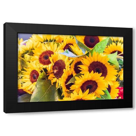 Washington State-Seattle-Pike Place Market Sunflowers for sale Black Modern Wood Framed Art Print by Wilson, Emily