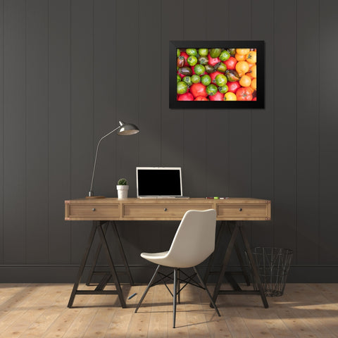 Washington State-Vancouver Fresh heirloom tomatoes for sale at a farmers market Black Modern Wood Framed Art Print by Wilson, Emily
