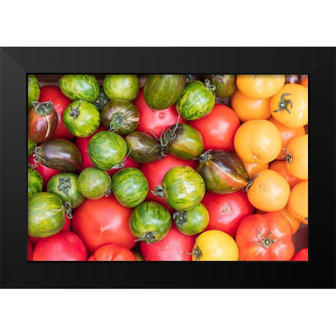 Washington State-Vancouver Fresh heirloom tomatoes for sale at a farmers market Black Modern Wood Framed Art Print by Wilson, Emily