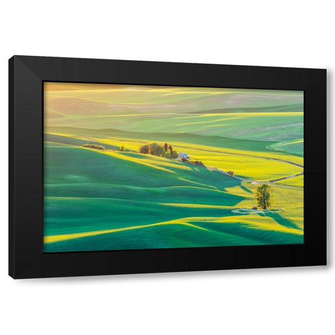 Steptoe Butte State Park-Washington State-USA-Sunset view of wheat fields in the rolling Palouse hi Black Modern Wood Framed Art Print with Double Matting by Wilson, Emily M.